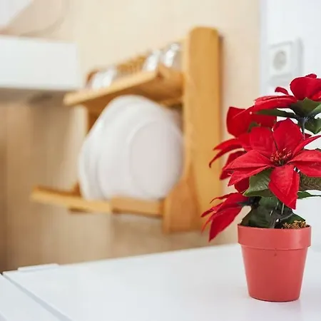 Centro Vejer Apartment
